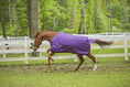 Bild in Galerie-Betrachter laden, TuffRider 1600 D Super Comfy Standard Neck Blanket - from JPC Equestrian
