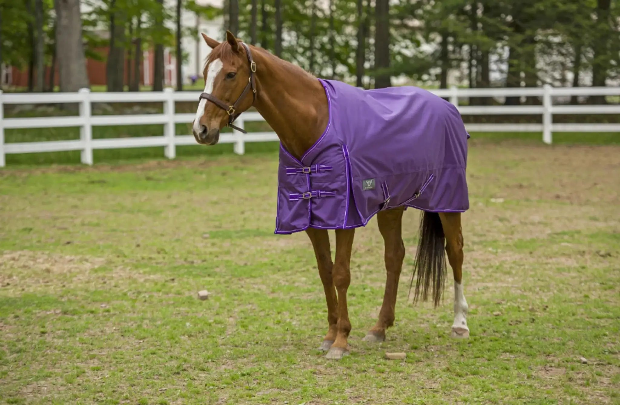 TuffRider 1600 D Super Comfy Standard Neck Blanket - from JPC Equestrian