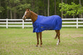 Bild in Galerie-Betrachter laden, TuffRider 1600 D Super Comfy Standard Neck Blanket - from JPC Equestrian
