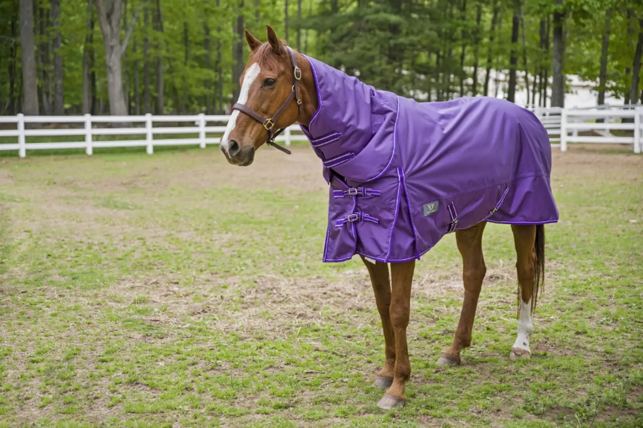 TuffRider 1680 D Super Comfy Detachable Neck Blanket - from JPC Equestrian