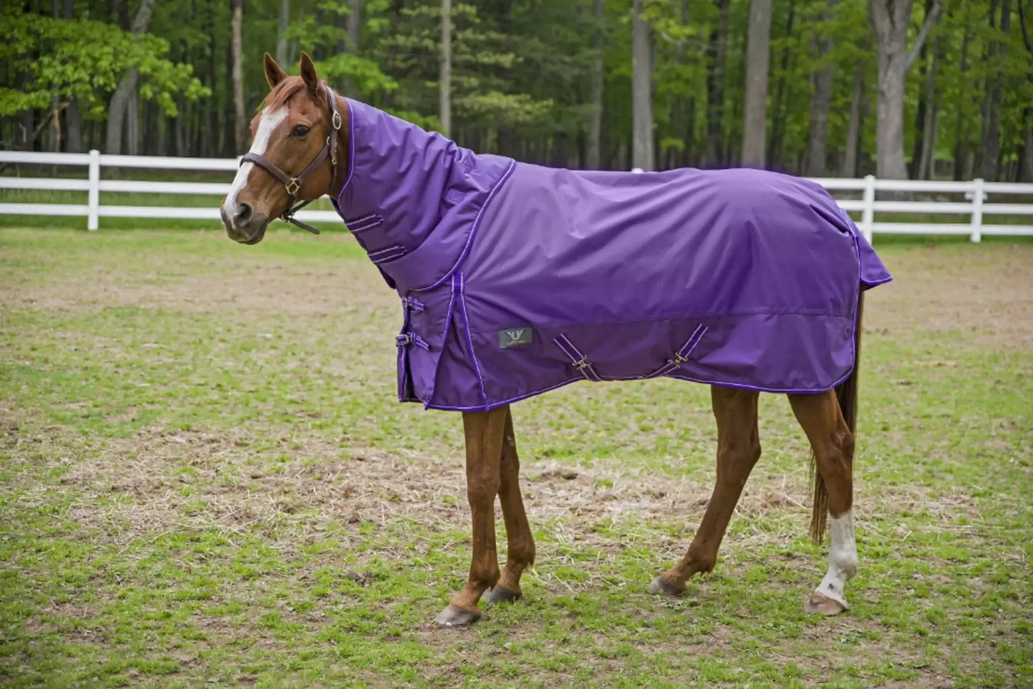 TuffRider 1680 D Super Comfy Detachable Neck Blanket - from JPC Equestrian