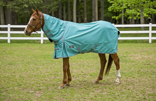 TuffRider 1200D Winter Comfy Detachable Neck Sheet - from JPC Equestrian