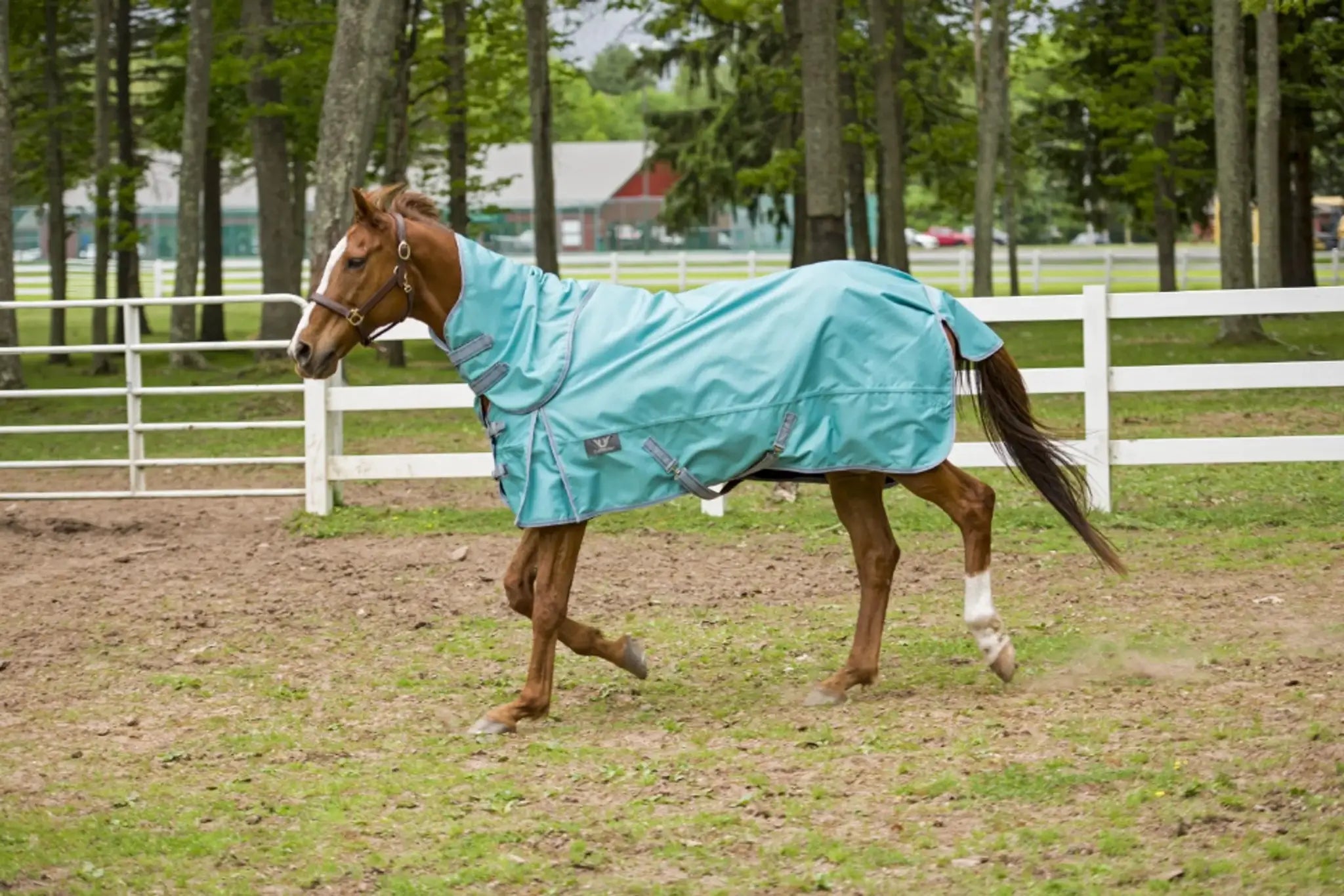 TuffRider 1200D Winter Comfy Detachable Neck Sheet - from JPC Equestrian