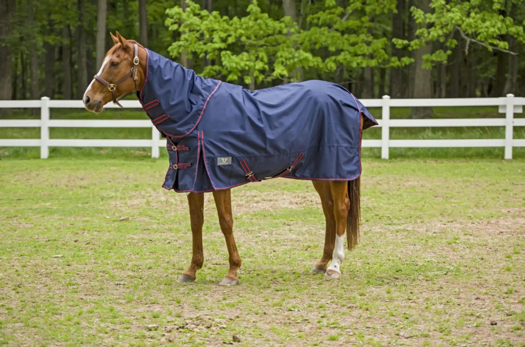 TuffRider 1200D Winter Comfy Detachable Neck Sheet - from JPC Equestrian