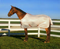 Load image into Gallery viewer, TuffRider Sport MESH Fly Sheet - from JPC Equestrian
