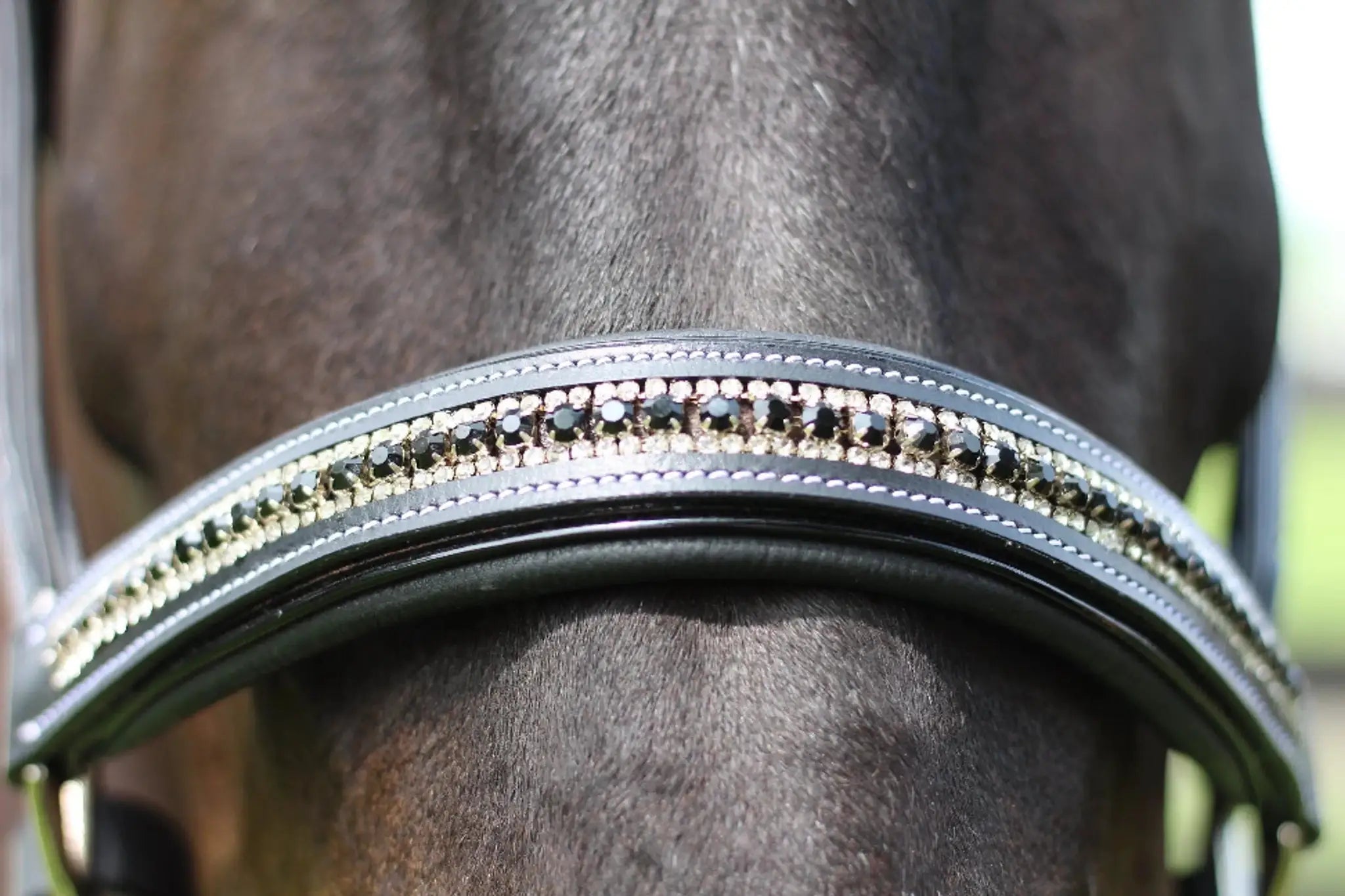 Henri de Rivel Padded Jewel Halter - from JPC Equestrian