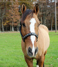 Gallery viewerに画像を読み込む, Henri de Rivel Royal Embroidered Leather Halter - from JPC Equestrian

