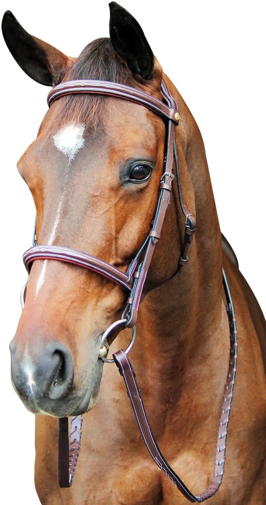 Henri de Rivel Pro Fancy Raised Comfort Crown Padded Bridle With Fancy Raised Reins - from JPC Equestrian