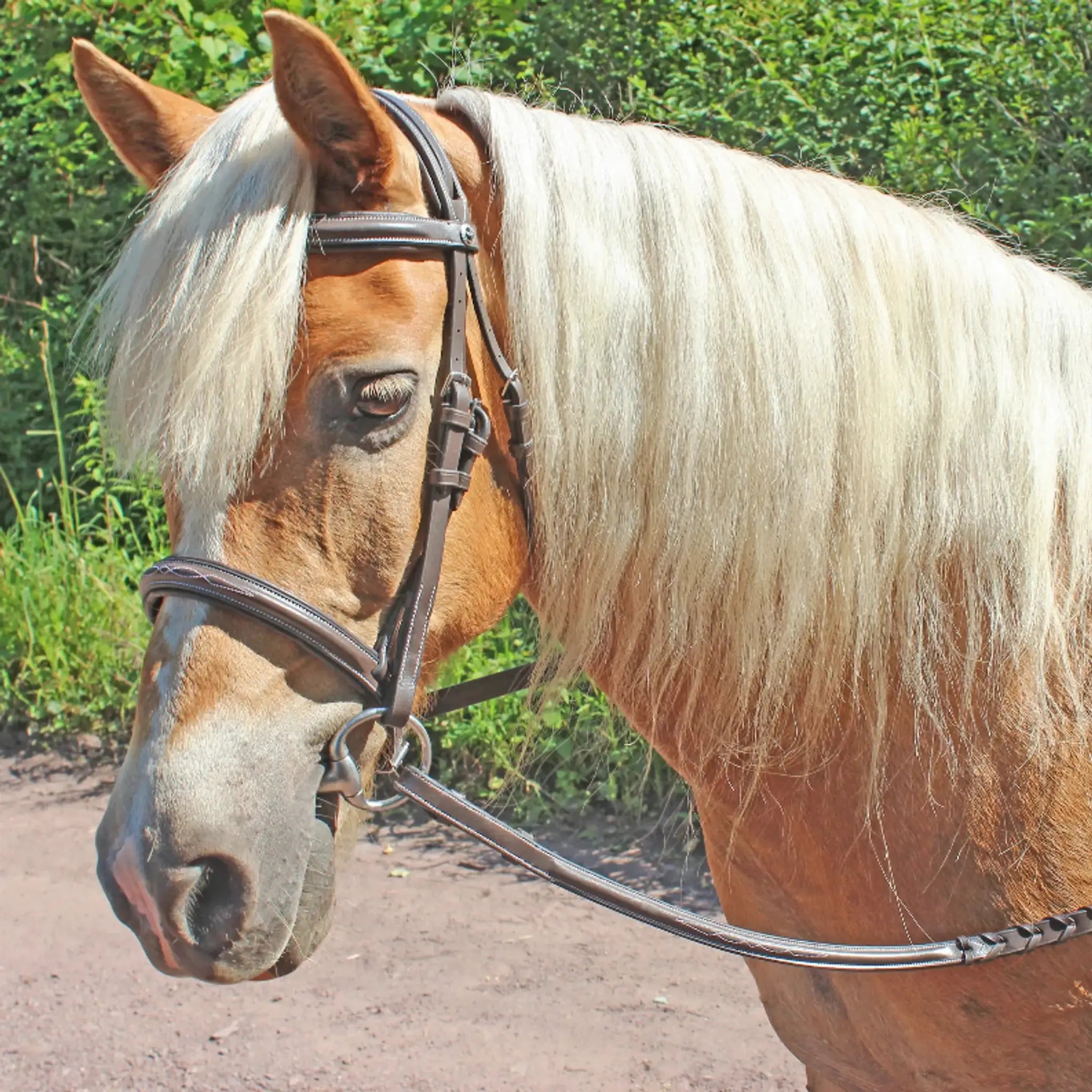 Henri de Rivel Pro Fancy Raised Comfort Crown Padded Bridle With Fancy Raised Reins - from JPC Equestrian