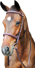Load image into Gallery viewer, Henri de Rivel Pro Fancy Raised Comfort Crown Padded Bridle With Fancy Raised Reins - from JPC Equestrian
