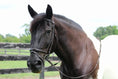 Bild in Galerie-Betrachter laden, Henri de Rivel Pro Piaffe Mono Crown Bridle with Flash Noseband with Patent Leather and webbed rubber reins with leather stops - from JPC Equestrian
