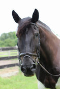 Bild in Galerie-Betrachter laden, Henri de Rivel Pro Piaffe Mono Crown Bridle with Flash Noseband with Patent Leather and webbed rubber reins with leather stops - from JPC Equestrian
