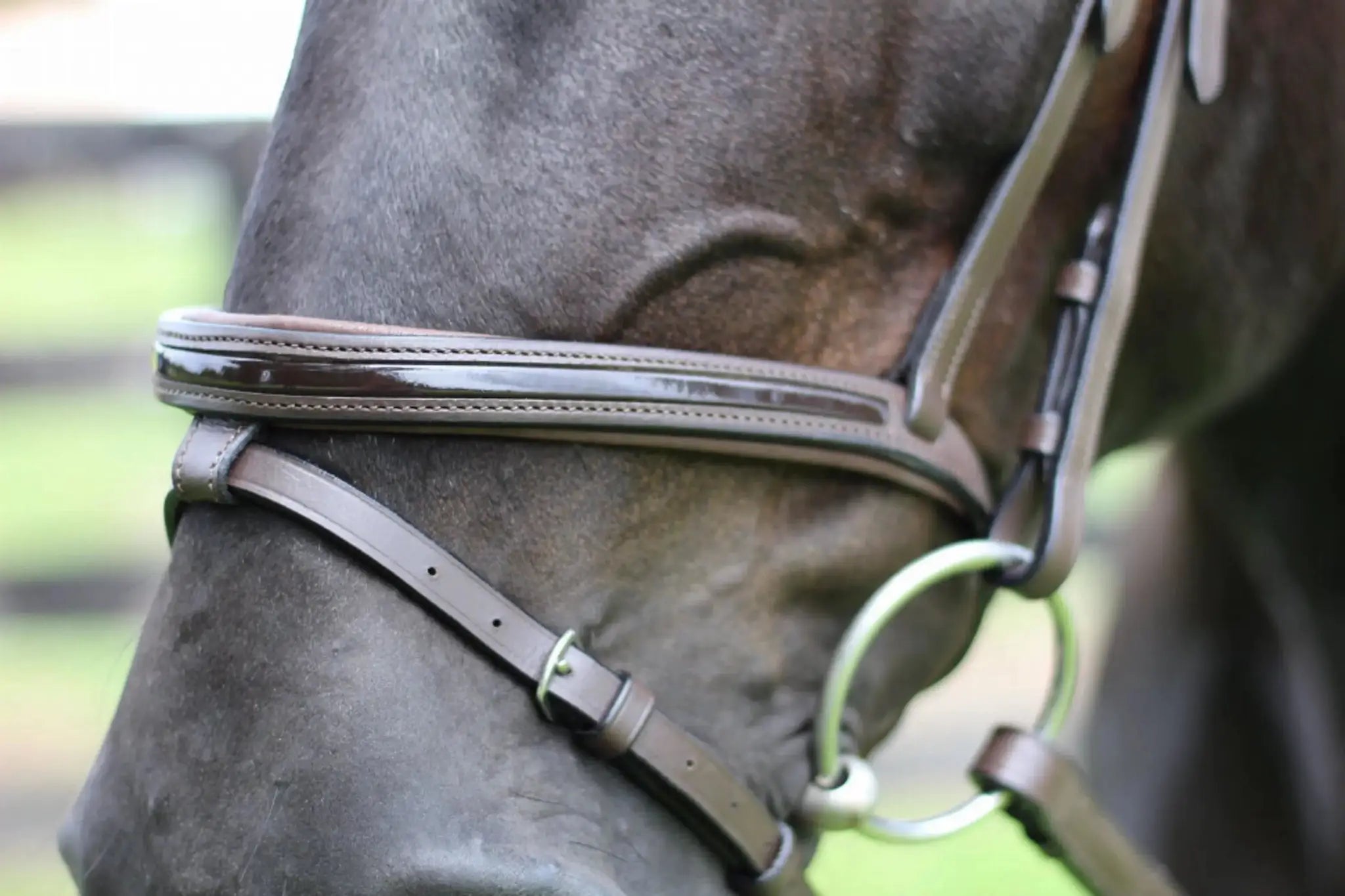 Henri de Rivel Pro Piaffe Mono Crown Bridle with Flash Noseband with Patent Leather and webbed rubber reins with leather stops - from JPC Equestrian
