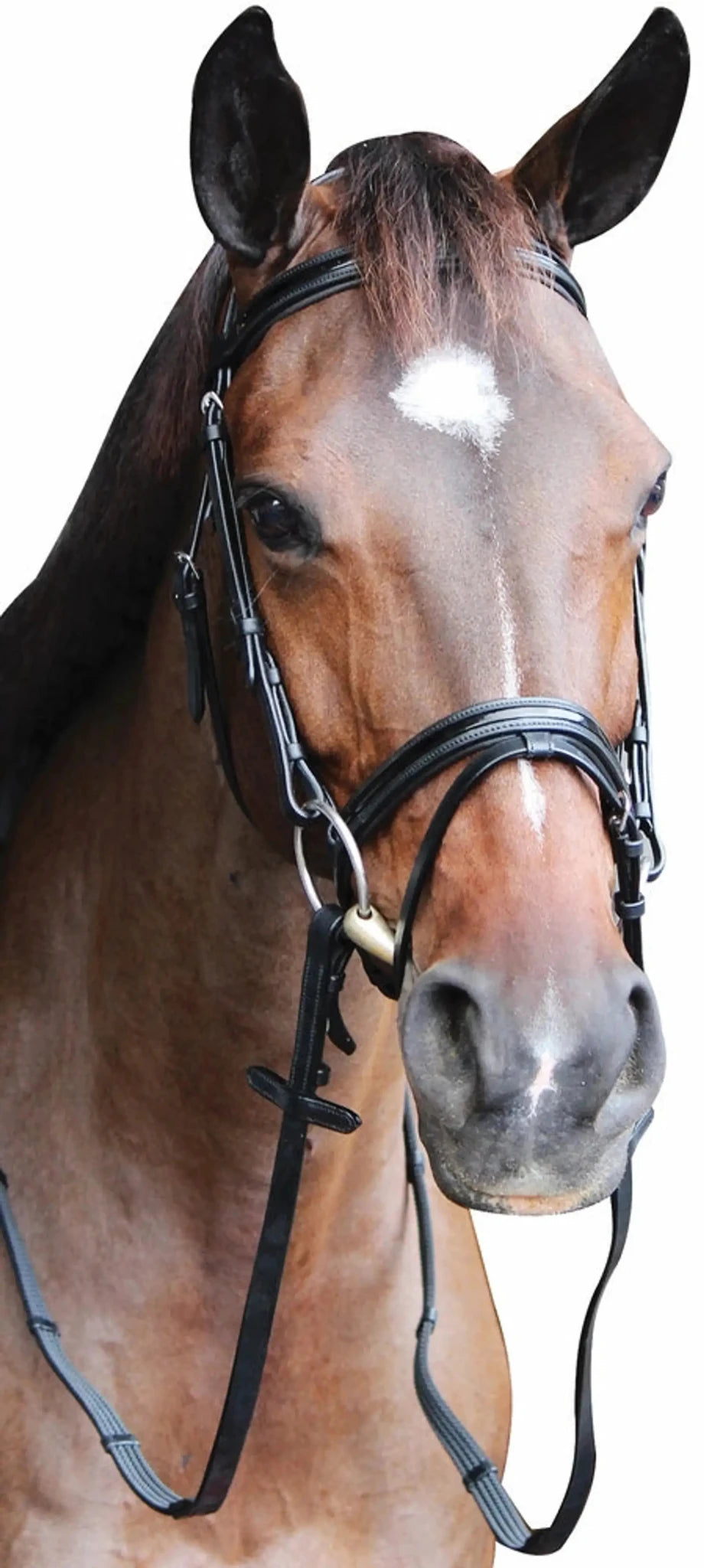 Henri de Rivel Pro Piaffe Mono Crown Bridle with Flash Noseband with Patent Leather and webbed rubber reins with leather stops - from JPC Equestrian