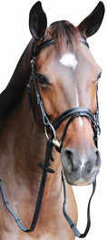 Bild in Galerie-Betrachter laden, Henri de Rivel Pro Piaffe Mono Crown Bridle with Flash Noseband with Patent Leather and webbed rubber reins with leather stops - from JPC Equestrian
