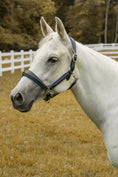 Charger l'image dans la visionneuse de la galerie, Henri de Rivel Cahill Padded Halter - from JPC Equestrian
