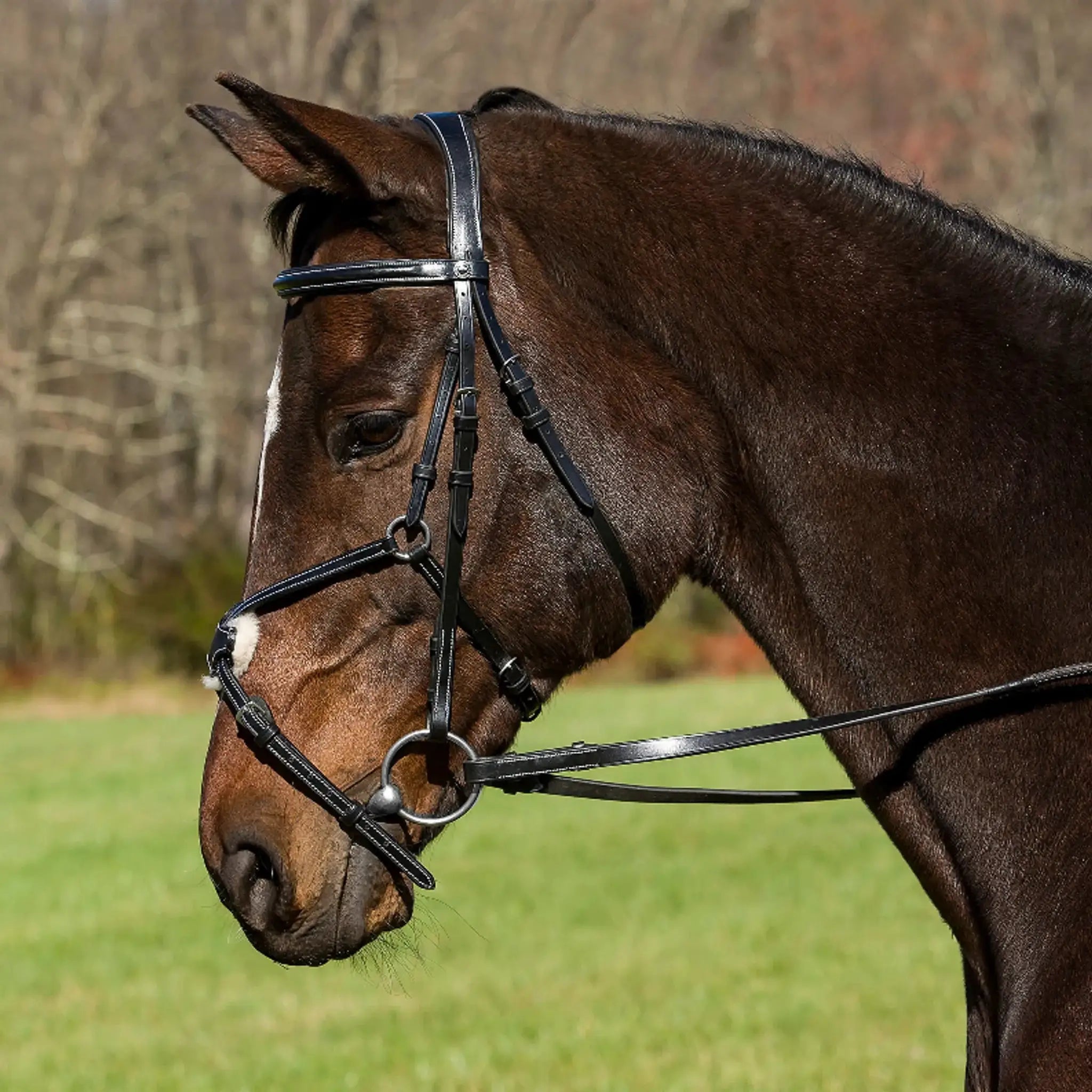 Henri de Rivel Pro Mono Crown Raised Figure Eight Bridle with Rubber Reins - from JPC Equestrian