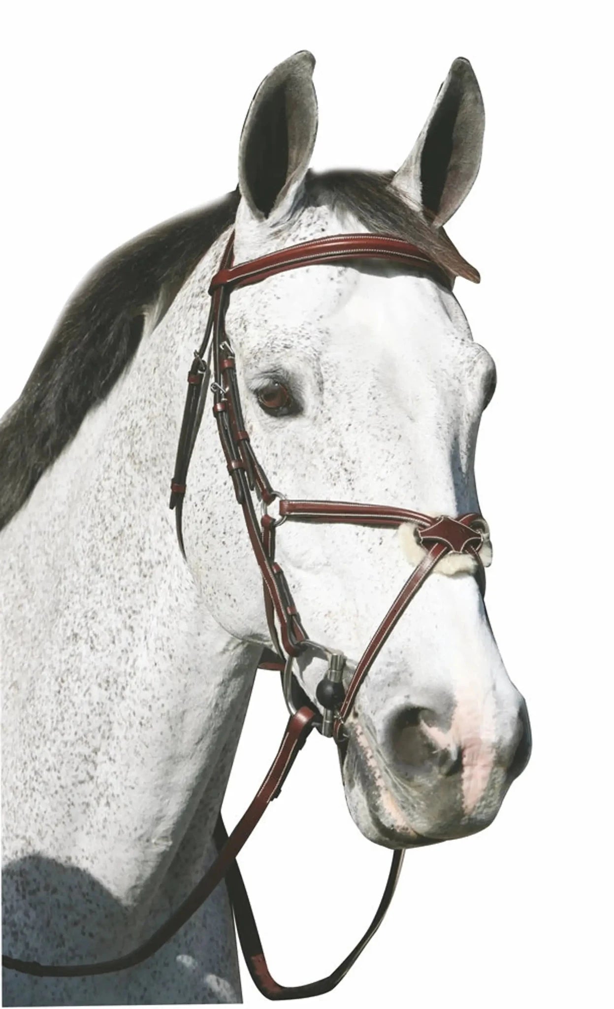 Henri de Rivel Pro Mono Crown Raised Figure Eight Bridle with Rubber Reins - from JPC Equestrian
