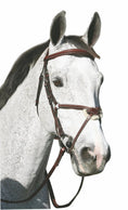 Carica l'immagine nel visualizzatore della galleria, Henri de Rivel Pro Mono Crown Raised Figure Eight Bridle with Rubber Reins - from JPC Equestrian
