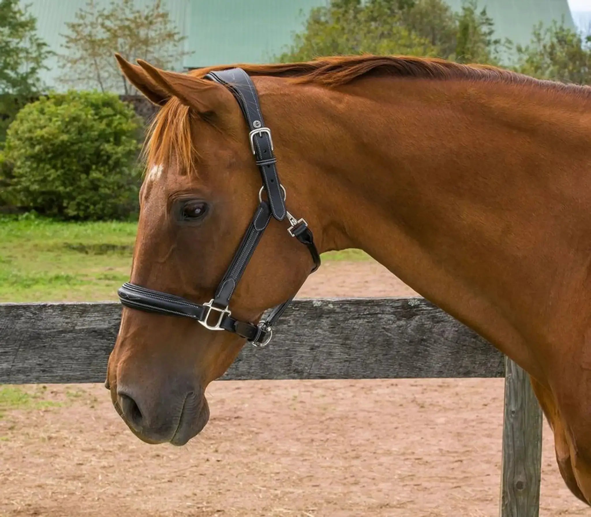 Henri de Rivel Stress Free Halter With Fancy Contrast Stitching - from JPC Equestrian