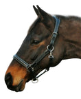 Load image into Gallery viewer, Henri de Rivel Stress Free Halter With Fancy Contrast Stitching - from JPC Equestrian
