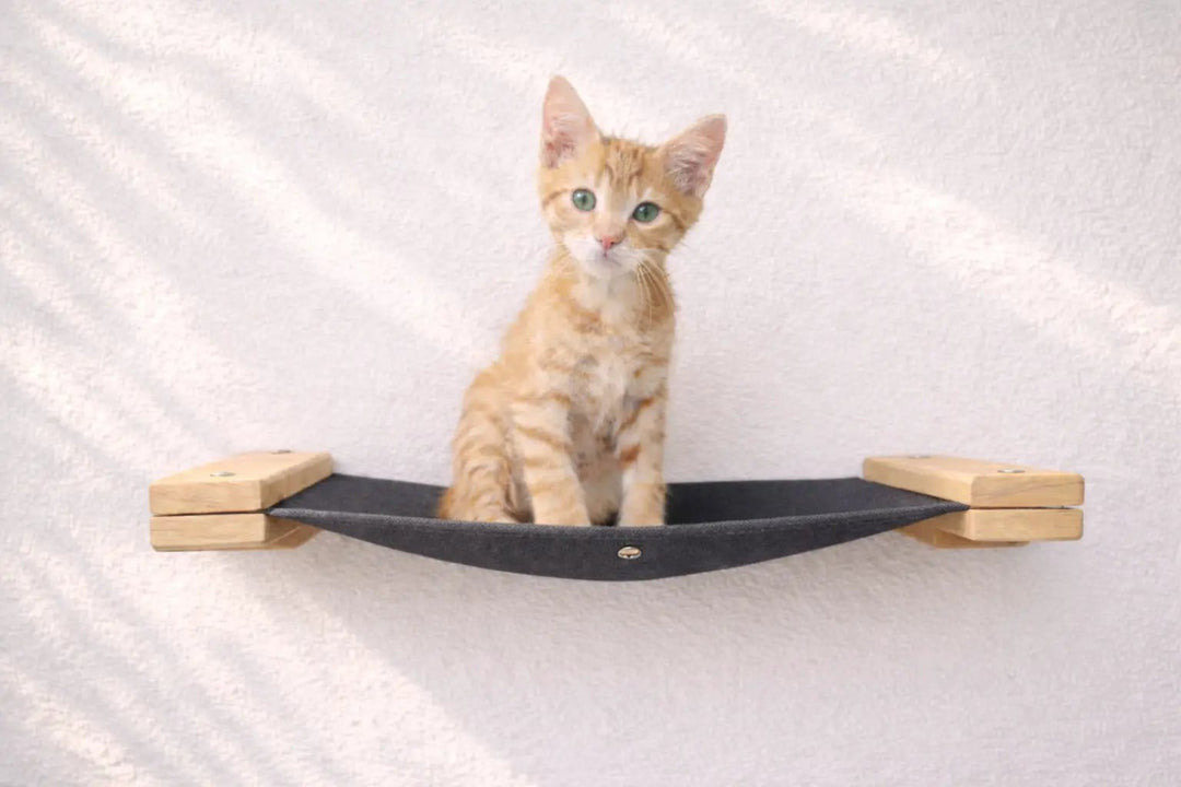 Hanging Cat Bed Hammock by Catastrophic Creations, black fabric with wooden end supports.