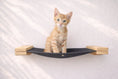 Load image into Gallery viewer, Hanging Cat Bed Hammock by Catastrophic Creations, black fabric with wooden end supports.
