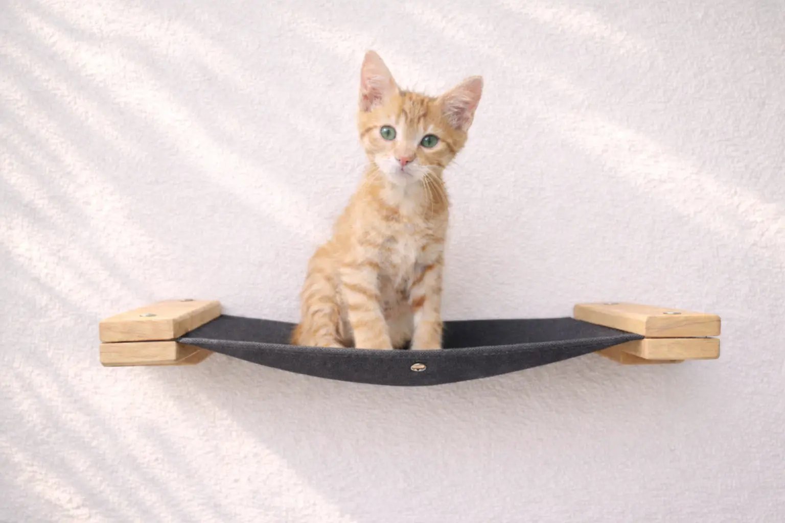 Hanging Cat Bed Hammock by Catastrophic Creations, black fabric with wooden end supports.