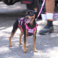Load image into Gallery viewer, Small But Mighty Pink And Purple Embroidered Morale Patch 2x1.5 by kiloninerpets
