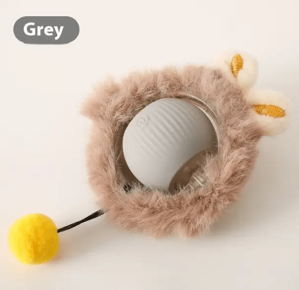 PurrPlay Automated Self-Rolling Cat Toy Ball Keeps Cats Entertained by For Animals, With Love