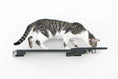 Carica l'immagine nel visualizzatore della galleria, Wall Mounted Cat Feeding Shelf by Catastrophic Creations, black metal cat furniture accessory
