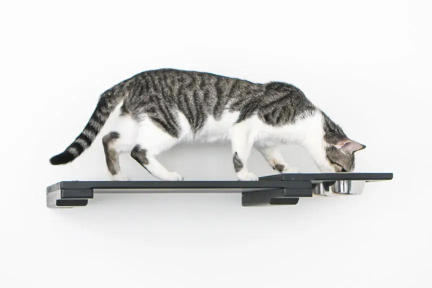 Wall Mounted Cat Feeding Shelf by Catastrophic Creations, black metal cat furniture accessory