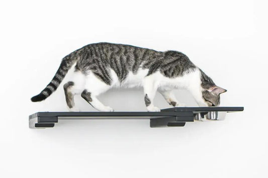 Wall Mounted Cat Feeding Shelf by Catastrophic Creations, black metal cat furniture accessory