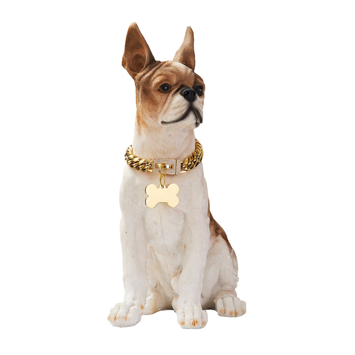 Dog wearing collar with pictured bone charm