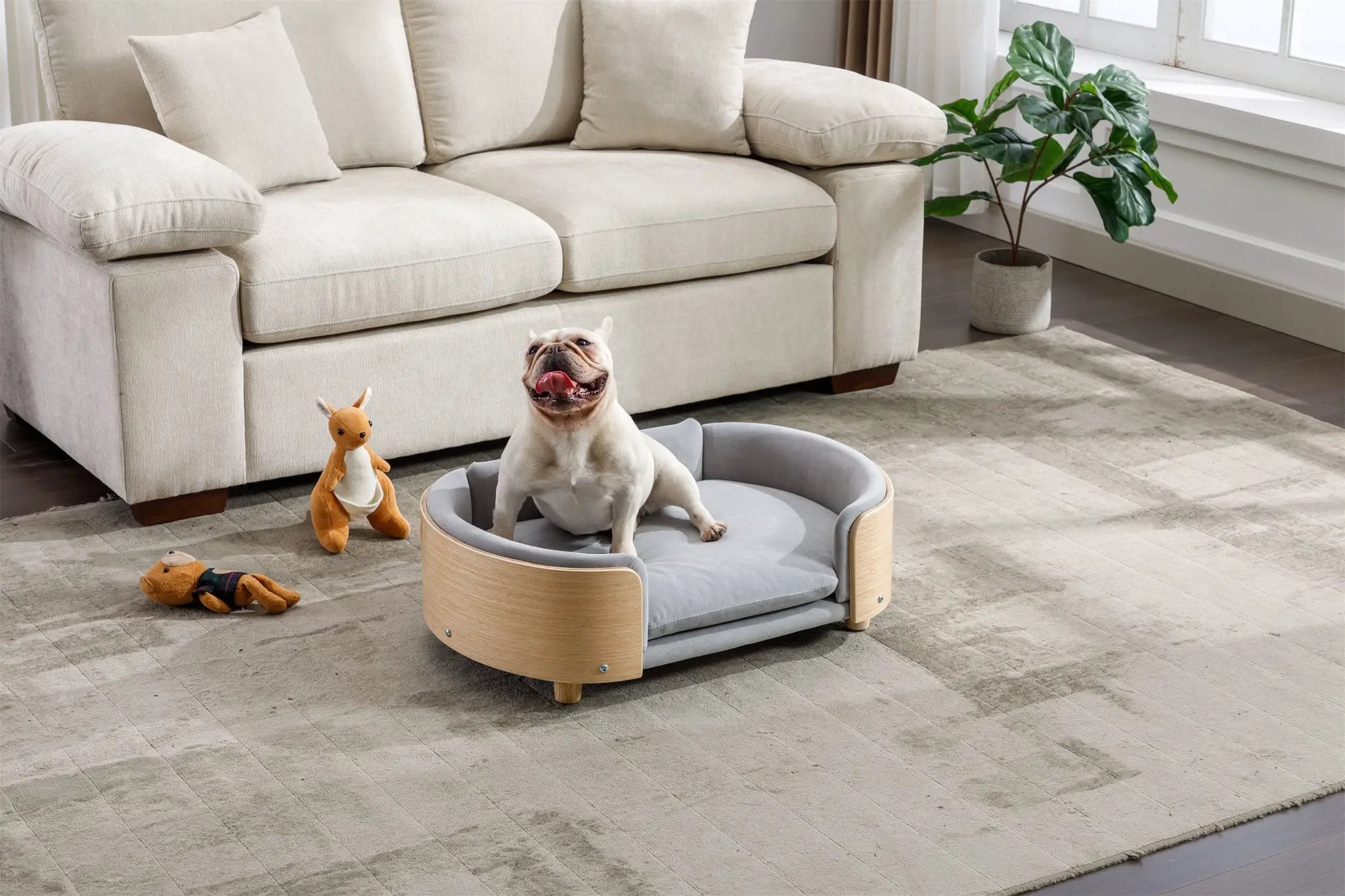 Scandinavian Style Elevated Dog Bed Pet Sofa Velvet Cushion Mid Size Light Grey by HouseOfZazla