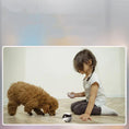 Charger l'image dans la visionneuse de la galerie, Smart Pet Robot Camera - from For Animals, With Love
