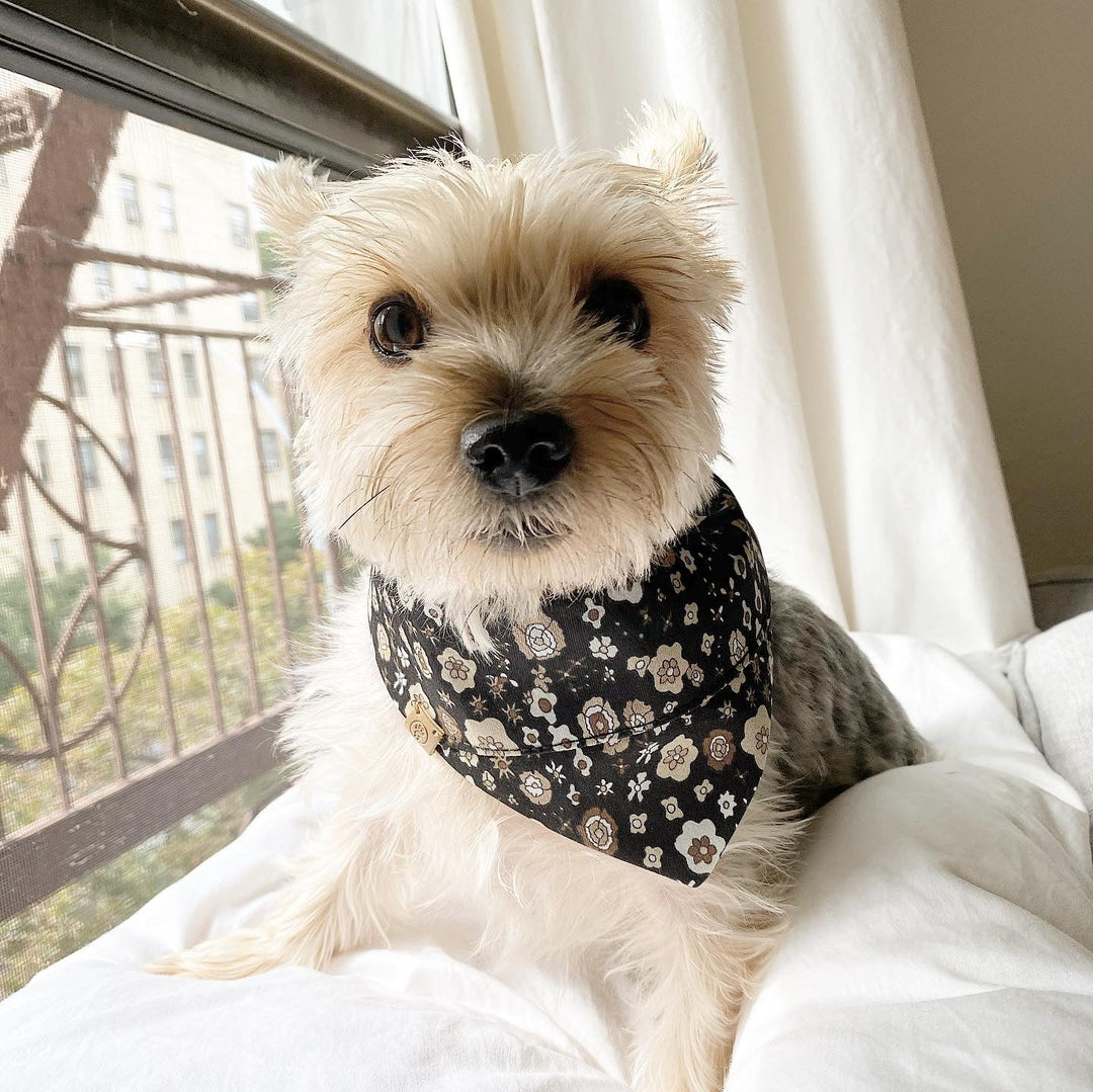 Bespoke Paws Avery Reversible Cotton Dog Bandana
