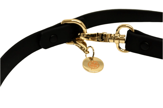 Waterproof Hands-Free Leash | Black