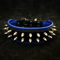 Charger l'image dans la visionneuse de la galerie, "Frenchie" collar - Pet Collars & Harnesses from Bestia Dog Gear
