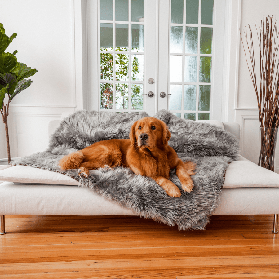 Paw.com PupProtector Waterproof Throw Blanket, Charcoal Grey