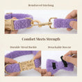 Load image into Gallery viewer, Teddy Purple Personalized No Pull Dog Harness Set With Matching Leash by DDPaws
