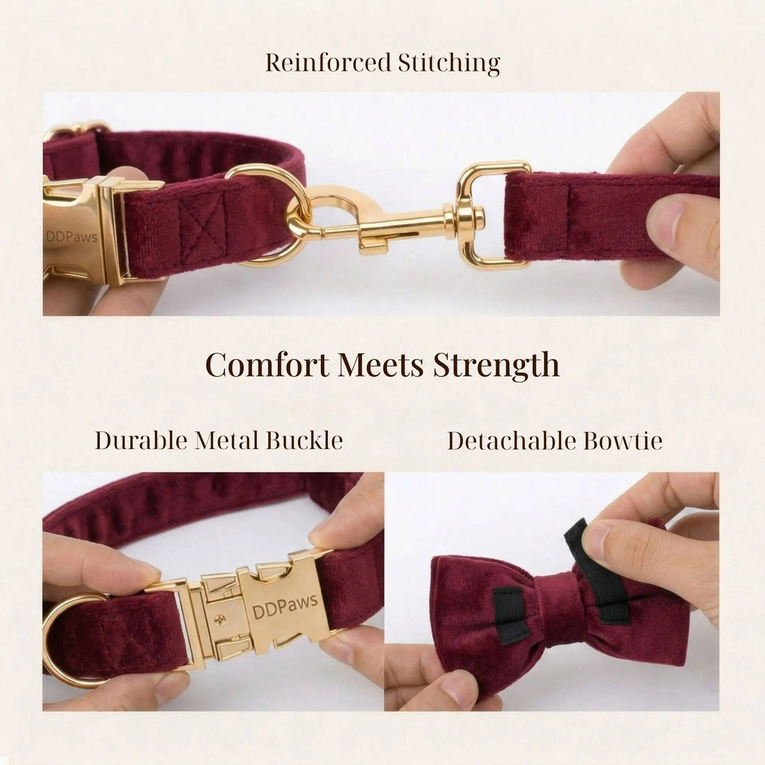 Red Wine Velvet Dog Harness Collar Leash Set Elegant Walking Wear by DDPaws