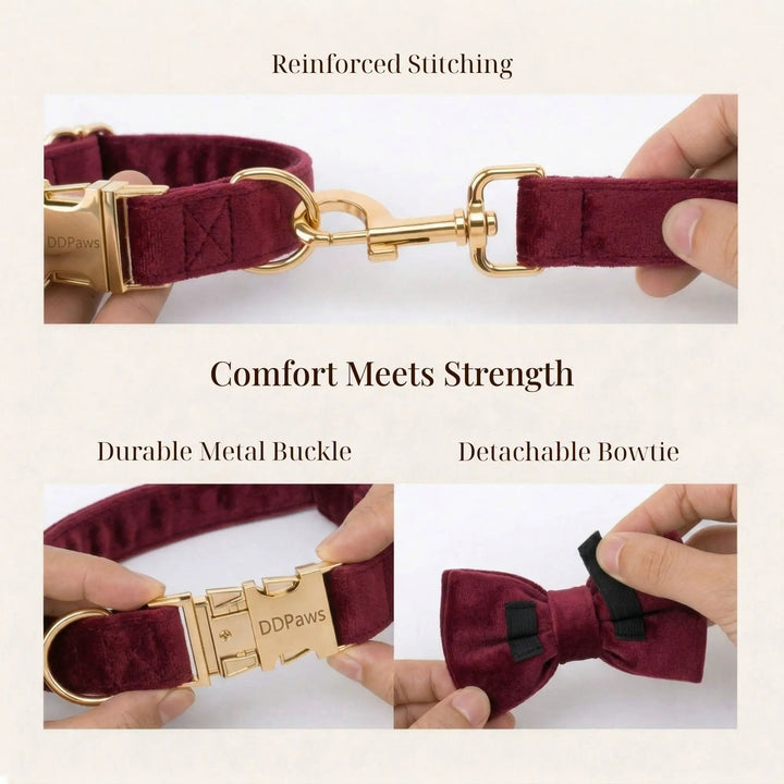 Red Wine Velvet Dog Harness Collar Leash Set Elegant Walking Wear by DDPaws