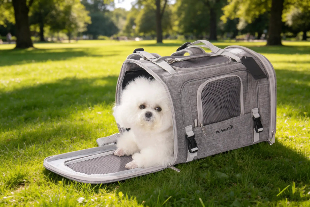 Mr. Peanut's Monterey Series horizontal backpack pet carrier in grey with a mesh panel and a white fluffy dog peeking out.
