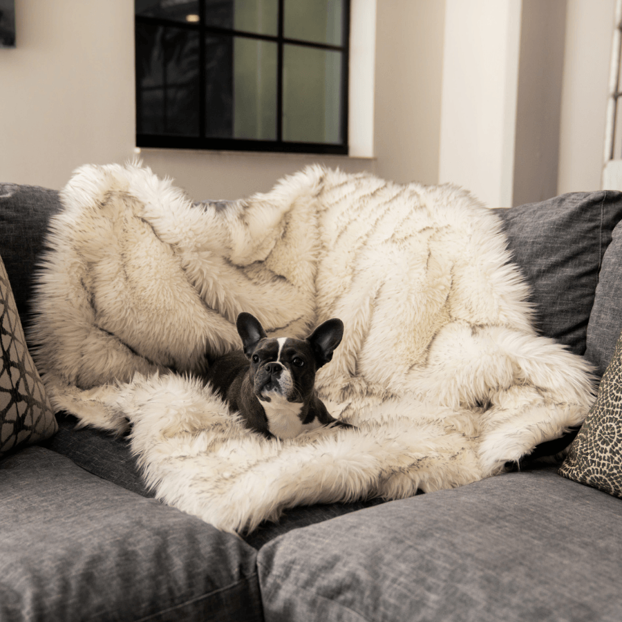 PupProtector Waterproof Throw Blanket on a gray sofa; fluffy white faux fur with brown accents.