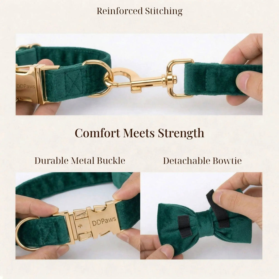 PawLuxe Green Velvet Set Custom No Pull Harness Medium And Large by DDPaws