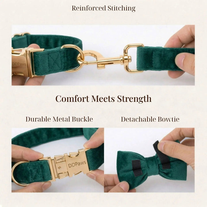 PawLuxe Green Velvet Set Custom No Pull Harness Medium And Large by DDPaws