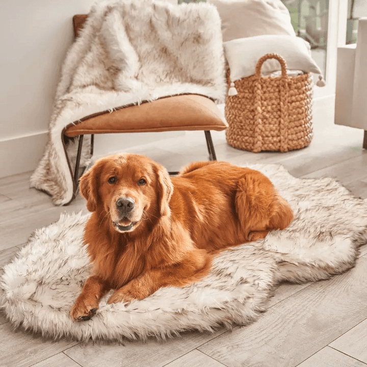Paw.com PupRug Faux Fur Orthopedic Dog Bed, Curve White with Brown Accents, dog lounging on plush bed.
