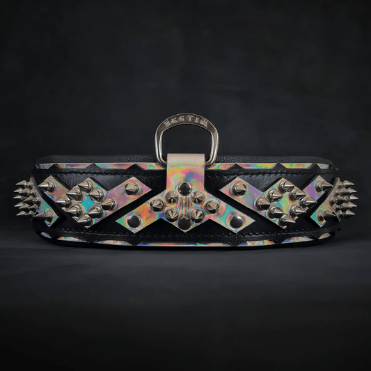 The ''Midas'' Collar Silver - Pet Collars & Harnesses from Bestia Dog Gear