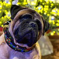 Load image into Gallery viewer, The Grinchmas Limited Collar - Pet Collars & Harnesses from Bestia Dog Gear
